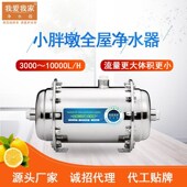 高端大流量全屋中m央净水器自来水管道过滤器家用商用井水净水机