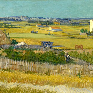 玄关挂画纯手绘梵高凡高油画van GogJh丰收麦田客厅临摹复制品