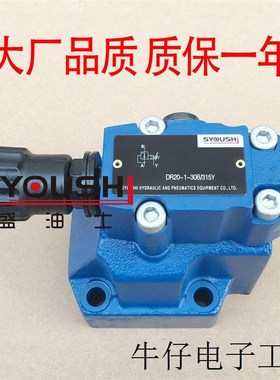先导减压阀DR20-5-52/100Y,DR20-4-50/210Y,DR20-2-50BX/315Y现货