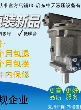 HY10/25/32/40/63/71/80/100/107/125/160/250Y-RP(LP)轴向柱塞泵