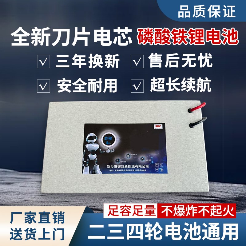 电动车锂电池48v60v比亚迪刀片电芯磷酸铁锂72v二三轮车电池图片