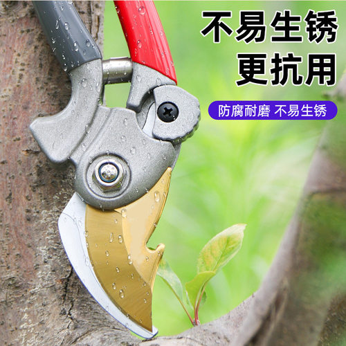 厂货鲨头剪园林多功能修枝剪刀果园粗枝剪果枝剪花园剪树枝剪