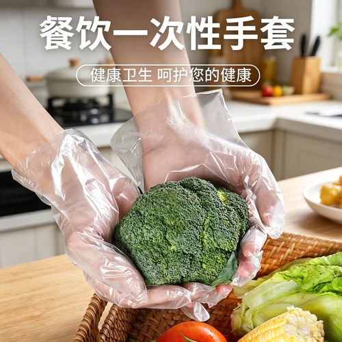 PE加厚一次性手套食品外卖加大