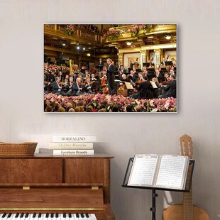 音乐厅主题e挂画演奏团队钢琴房背景墙工作室培训学校机构教室挂
