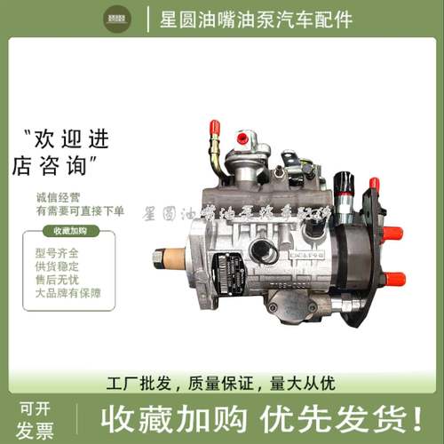 德尔福高压油泵帕金斯柴油泵总成9521A310T/9320A349G/8922A291G