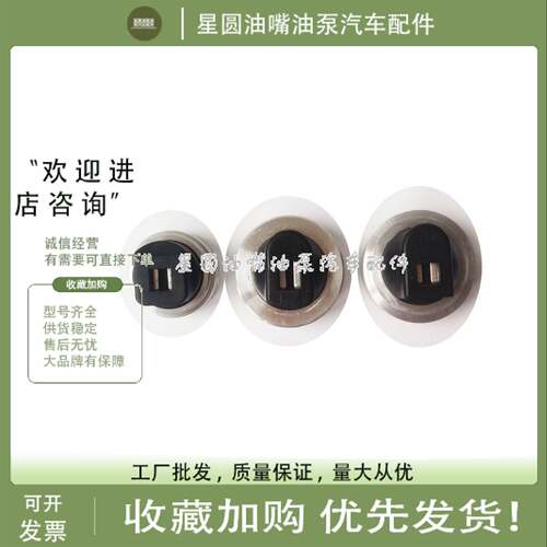 南岳衡阳电控单体泵柱塞电磁阀东方红NDB109T/NDB101T/NDB100T