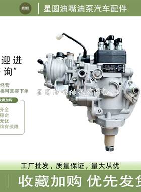 VE喷油泵 22100-17870 燃油泵总成096000-9750 VE6/12F2000RND975