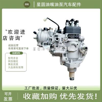 VE喷油泵 22100-17870 燃油泵总成096000-9750 VE6/12F2000RND975
