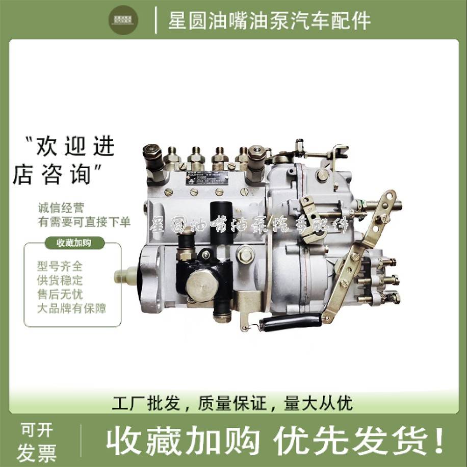 原装燃油泵 喷油泵B4A72油泵总成BH4A95R D30-1111050配玉柴