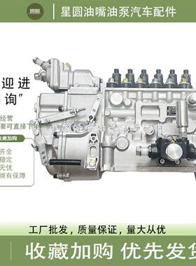 原装龙口油泵BH6PA110油泵总成1258A 1258配上柴