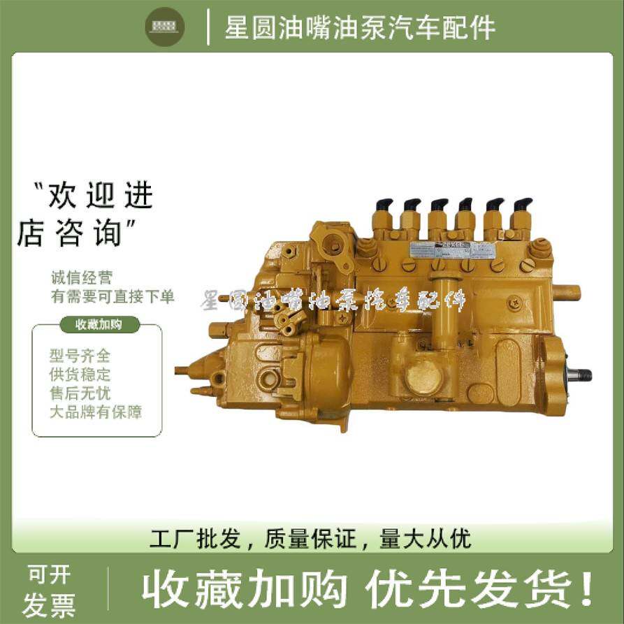 杰克塞尔挖机工程机械油泵总成适用于五十铃挖机油泵101609-9173