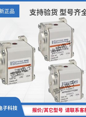 罗兰熔断器G300478/A070qUD31TTI500 H300479/A070UD31TTI550现货
