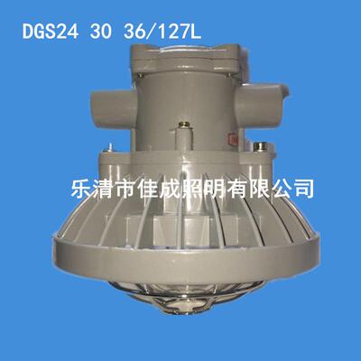 DGS3036/127L(A)矿用隔爆型LED巷道灯30W防爆灯巷道灯LED防爆灯