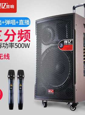 谨亿DP860户外网红直播返听音响双无线专业K歌内录乐器弹唱音箱