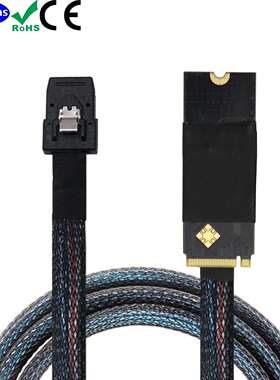 M.2(M-KeyNVMe2260)转MINISASSFF-8087服务器机内高速线