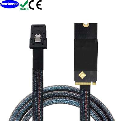 M.2(M-KeyNVMe2260)转MINISASSFF-8087服务器机内高速线