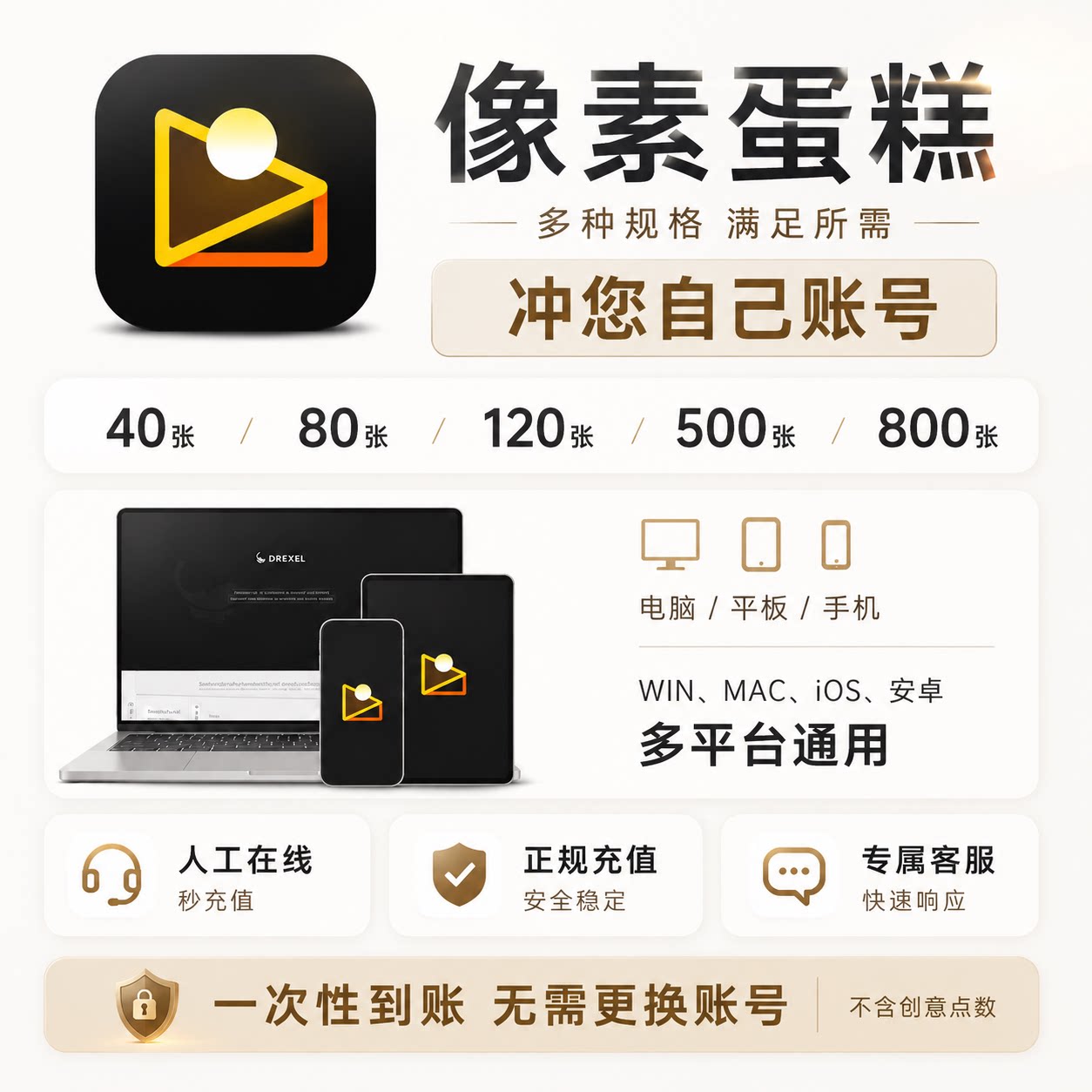像素蛋糕导出张数40张120张500张充值你自己账号电脑可用ipad可用
