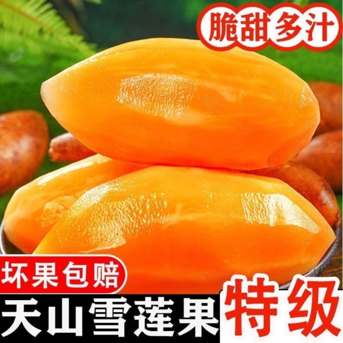 现挖】正宗云南天山雪莲果新鲜应季水果黄心低糖特级无糖孕妇果