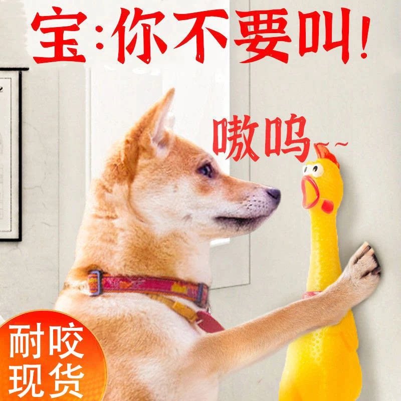 惨叫鸡尖叫鸡玩具鸡解压发声怪叫鸡绝望会叫的战斗鸡狗狗耐咬玩具