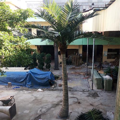 来图带灯椰子树仿真椰子树信号树水上乐园大型玻璃钢人造假树叶