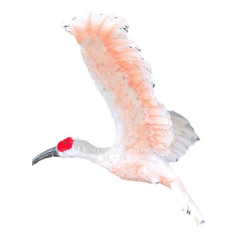 大型动物仿真厂家仿真鹤形态逼真防火阻燃海绵制作科技展展览