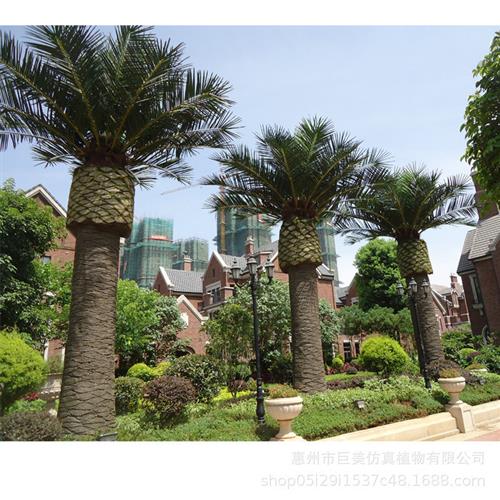 仿真玻璃钢海藻树仿真海枣树酒店花园楼盘装饰假椰子树厂家来图