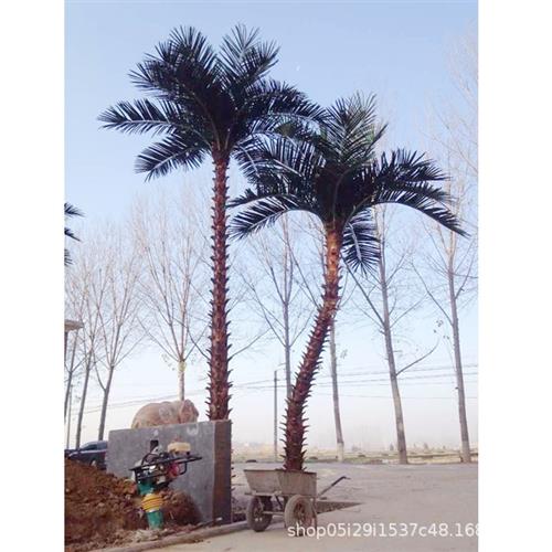 仿真棕榈树蒲葵树园林工程造景椰子树保鲜棕榈树假树工厂