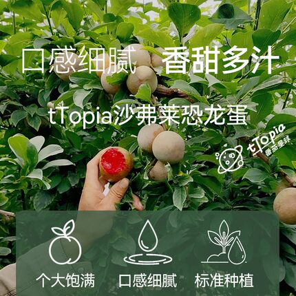 新疆恐龙蛋杏李当季甜红布林饱满汁水足孕妇水果礼盒顺丰基地直发