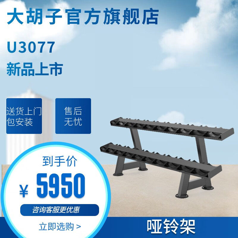 DHZ 大胡子运动健身器材U3077哑铃架 哑铃架健身房专用家用商用版,运动/瑜伽/健身/球迷用品,力量训练器械(局部型),淘宝优惠券,粉丝福利购,淘宝优惠卷