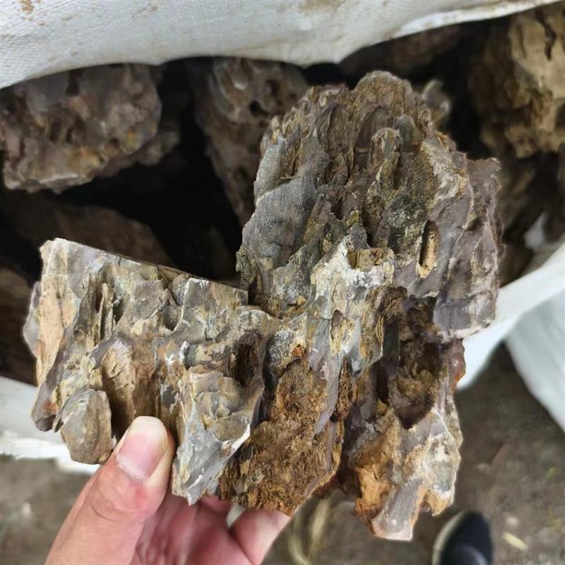 热销松皮石造景鱼缸摆件园林庭院假山造景天然石头大块松皮石厂家