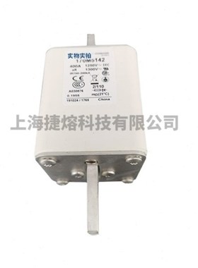 低压快速熔断器170M5140 170M5141 1I70M5142 电子元器件 现货