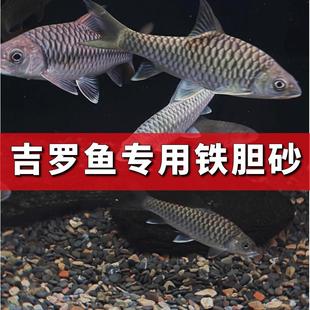 铁胆沙鱼缸底砂造景沙天然黑工砂乌龟缸石头水族箱装饰鳌虾吉罗鱼