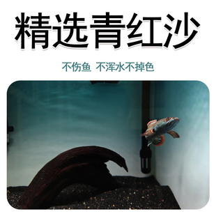 精洗青红沙偏暗灰青沙青灰红沙雷龙专用原生鱼缸造景沙雷龙底沙灰