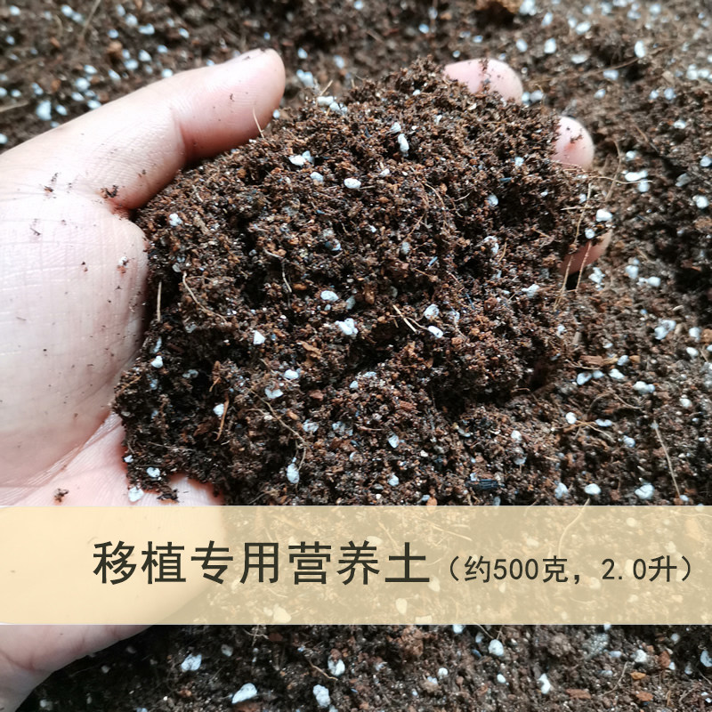 移植蔬果营养土多肉营养土自制景天科通用多肉铺面花土植物种植土