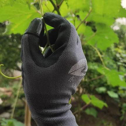 摘花椒辣椒防刺防划伤透气手套护指甲神器剥豆子摘豆角抽藕带神器