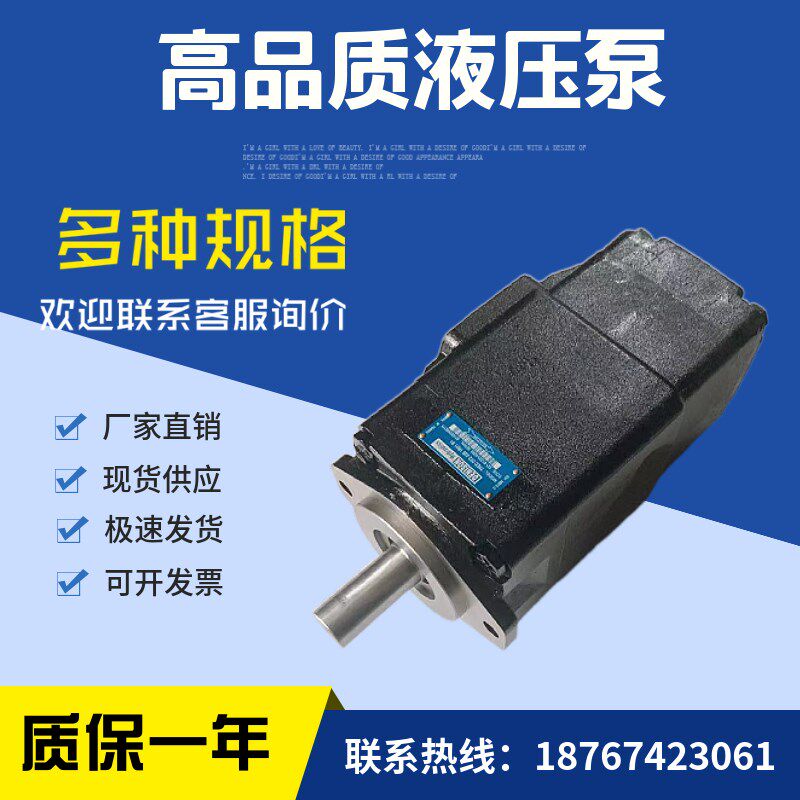 美国denison双联泵T6EC 045 012 2R02 C1P00 叶片泵丹尼逊液压油