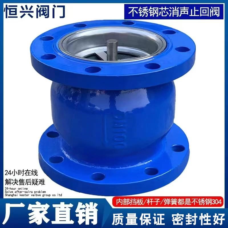HC41X不锈钢芯立式消声逆止单向t止回阀DN50 6 80 100 125 150 20