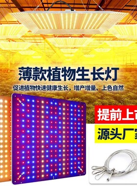 量子板植物生长灯led反光铝罩x薄款全光谱大棚植物面板补光灯1000