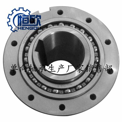 整体式单向离合器CKZsF-A60170非接触式超越离合器逆止器