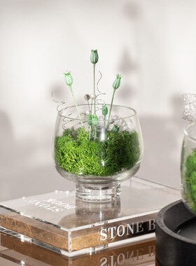 Rzone 新中式永生苔藓u洽谈桌茶几端景台装饰花艺透明玻璃花器摆
