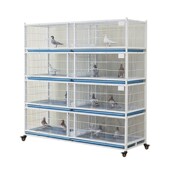 加密鸽子笼配对笼鹦鹉笼鸟笼鸽子赛鸽观赏鸽繁殖笼公Y棚鸽舍鸽子