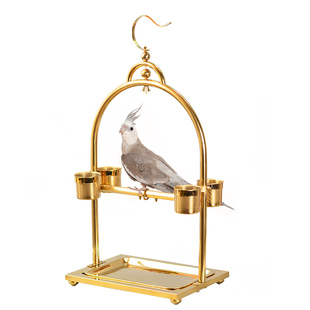 极速金色挂式站架 不锈钢鹦鹉x站架 鸟笼鸟N架子折衷玄凤灰鹦鹉架