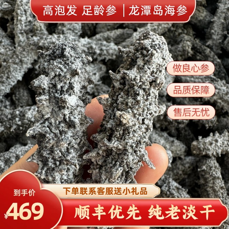 老淡干海参渤海湾刺参水产品非即食海参高泡发海参干货