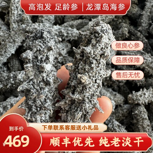老淡干海参渤海湾刺参