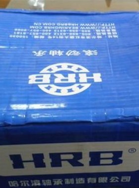 哈尔滨轴承 HRB轴承 NUnP2309EM 92609EH 45*100*36 P5级别 D级别
