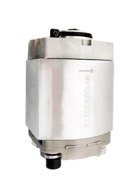 Boden 齿轮泵BKP1Q0D8o.0/BKP1Q0S2.7/S3.2/S1.6/S1.8/S4.8G0L1-B