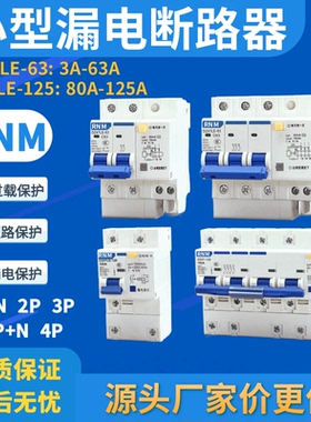 小型漏电断路器DZ47LE-63 家用电路保护开关1P+N 2P 3P+N 4P32A