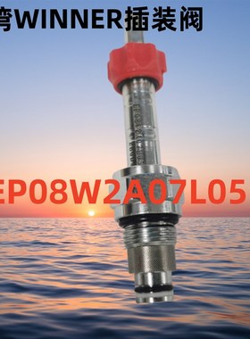 EP08W2A07L05/CnB2A33IL/EC04W 220V台湾winner插装阀电磁换向阀