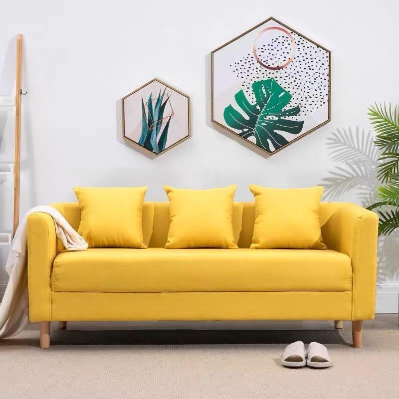 小户型沙发经济租m房服装店三人客厅小小型公寓椅双人布艺