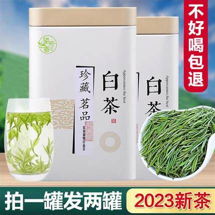 正宗白茶安吉高山特级2023年新茶礼盒装珍稀口粮绿茶雨前散装茶叶